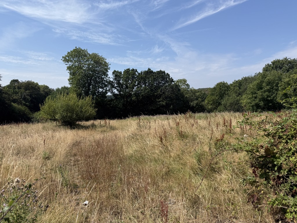 Lot: 94 - PARCEL OF FREEHOLD LAND EXTENDING TO 3.22 ACRES WITH POTENTIAL - General view of field
